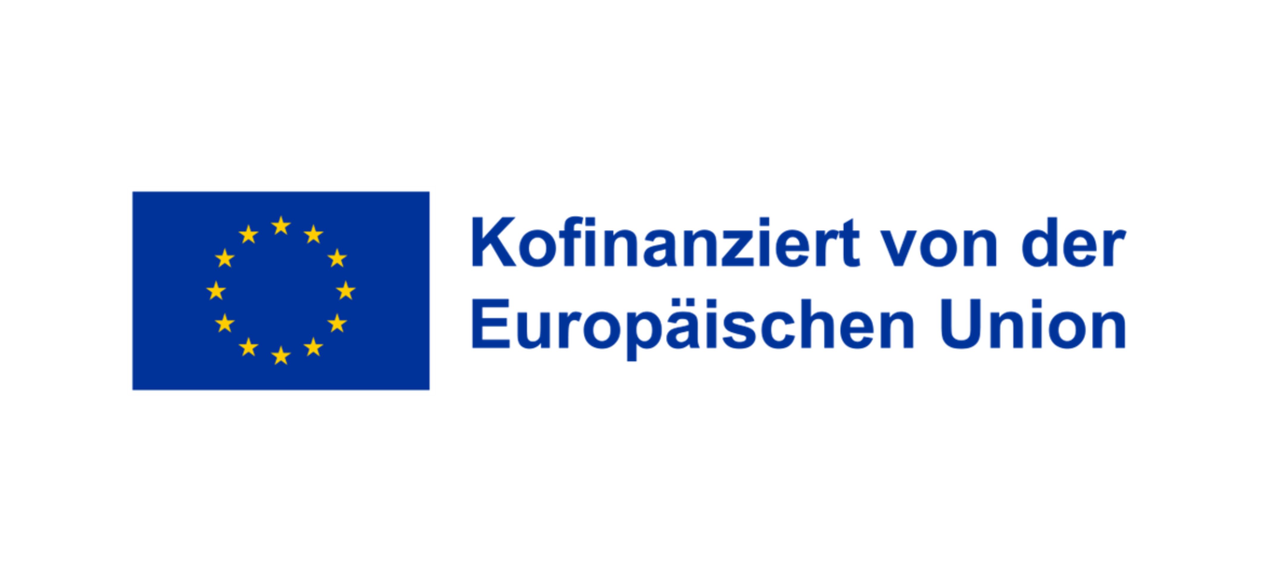 Logo Eu.