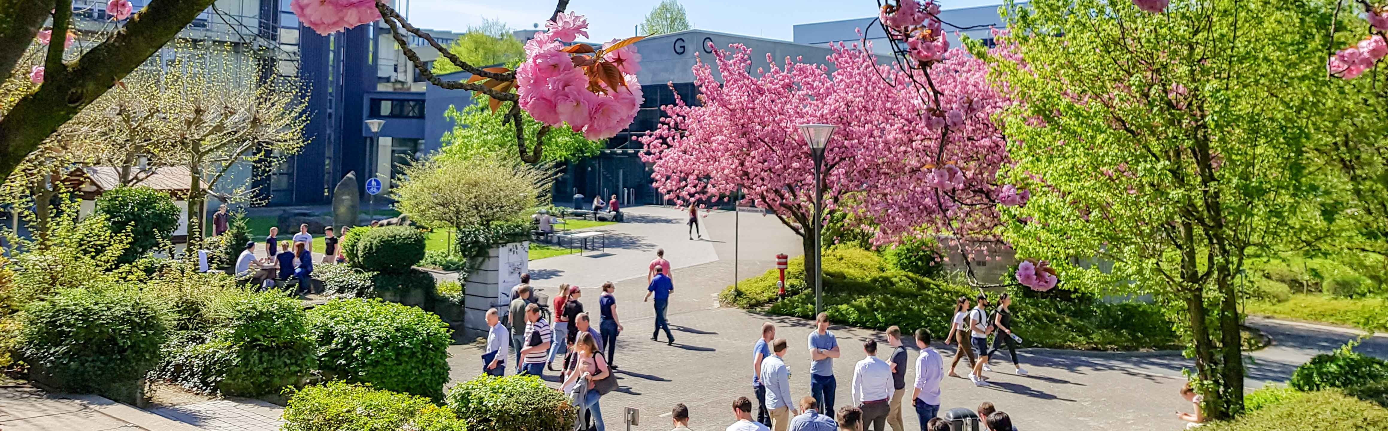 Inner courtyard of the University of Paderborn in spring. Groups of people can be seen.